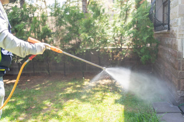 Best Emergency Pest Control  in Pineville, KY