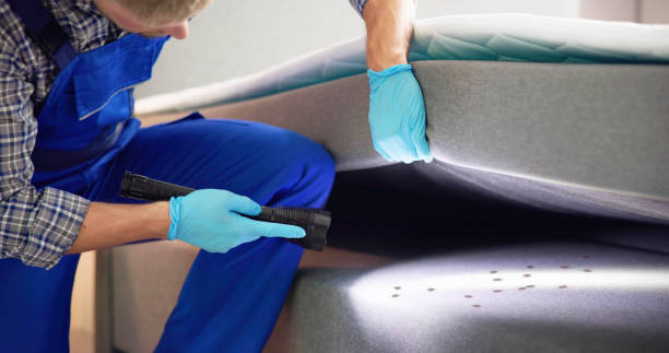 Best Rat Extermination Near Me  in Pineville, KY